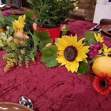 מלון Schloss Destille דורמאגן